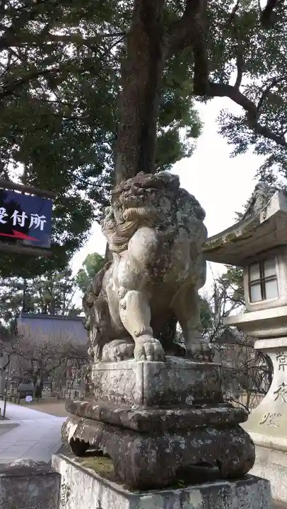 北野天満宮の狛犬