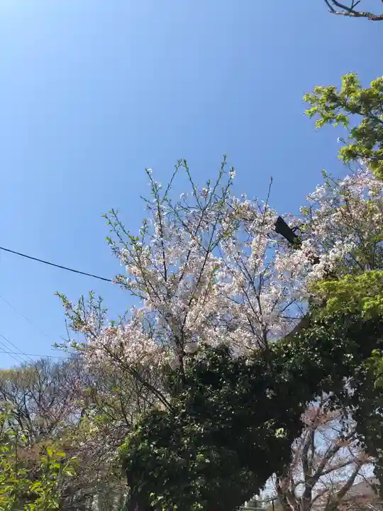 伏木香取神社の自然
