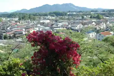 紫雲山 千手院(千手観音堂)(栃木県)
