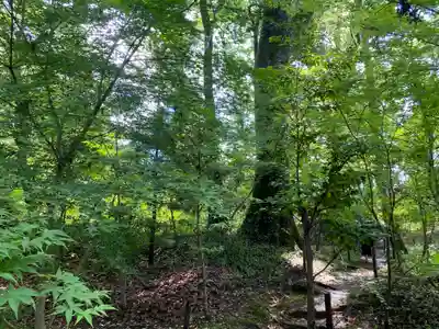 土佐神社(高知県)