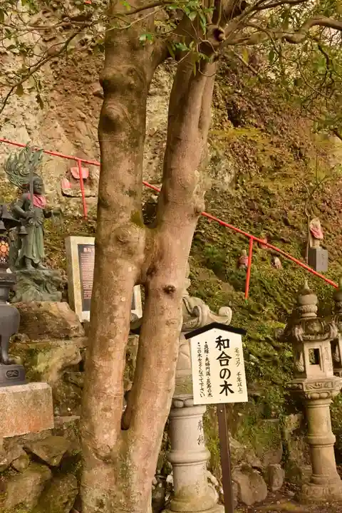 清滝山(香川県)