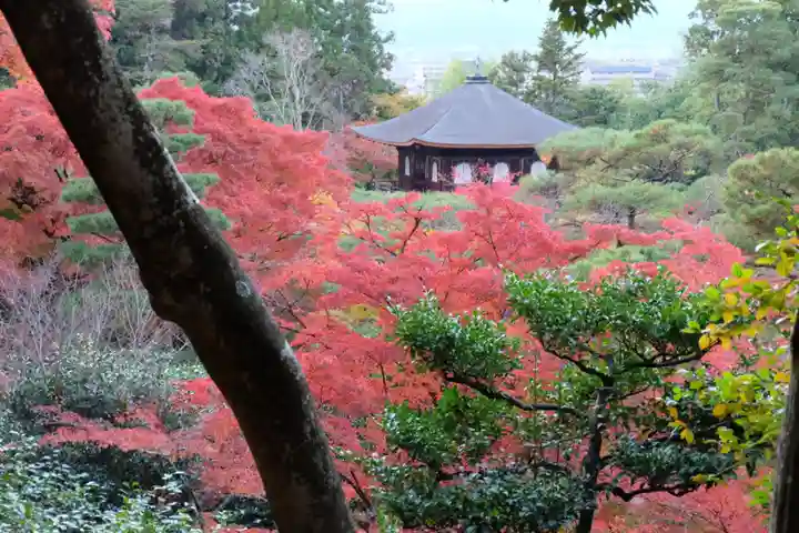 慈照寺(慈照禅寺・銀閣寺)(京都府)
