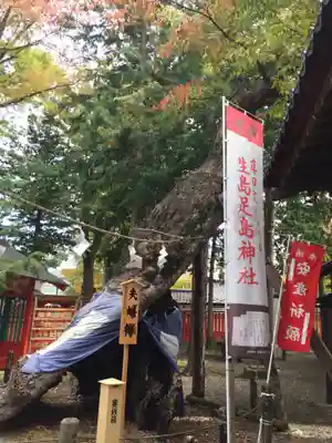 生島足島神社のその他建物