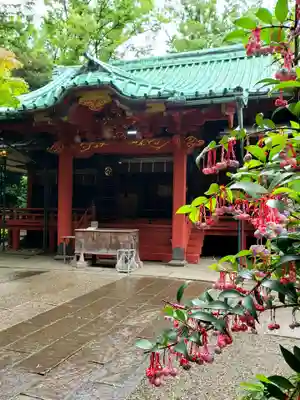 赤坂氷川神社の本殿・本堂