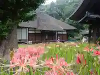 横浜 西方寺の本殿・本堂