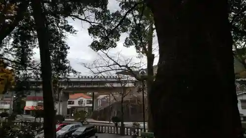 五所神社の自然