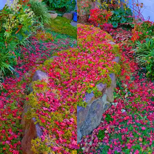 寿量山　速成寺(奈良県)