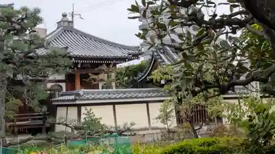 法華長講弥陀三昧堂（長講堂）(京都府)