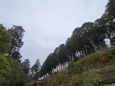 三室戸寺(京都府)