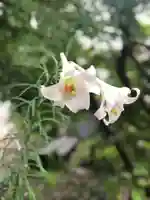 木舟山 順教寺の自然