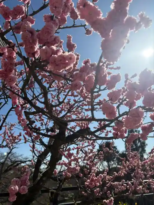 岩津天満宮の{uncategorized: "未分類", other: "その他", undefined: "問題あり", building: "その他建物", grave: "お墓", sacred_gate: "鳥居", guardian: "狛犬", statue: "像", buddha: "仏像", history: "歴史", nature: "自然", garden: "庭園", animal: "動物", pagoda: "塔", temizu: "手水舎", mountain_gate: "山門・神門", sanctuary: "本殿・本堂", subordinate: "末社・摂社", art: "芸術", scenery: "景色", jizo: "地蔵", ema: "絵馬", goshuin: "御朱印", omikuji: "おみくじ", items: "授与品その他", amulet: "お守り", goshuincho: "御朱印帳", eats: "食事", festival: "お祭り", votive_dance: "神楽", shichigosan: "七五三参", wedding: "結婚式", experience: "体験その他", initially: "初詣", around: "周辺", anti_infection: "感染症対策"}