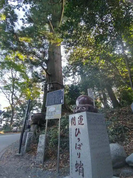 高尾山薬王院のその他建物