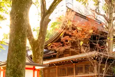 若宮八幡社(愛知県)