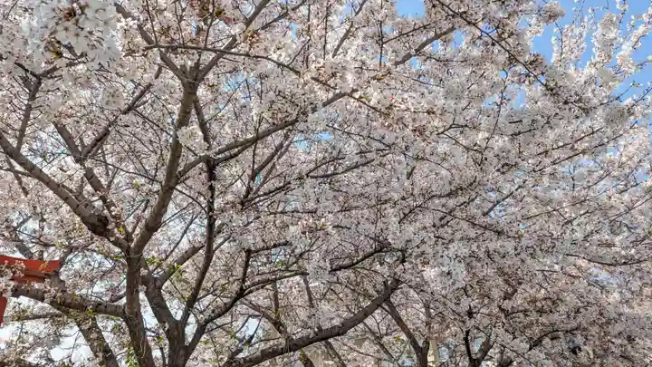 六孫王神社(京都府)