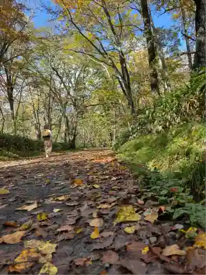 戸隠神社奥社(長野県)