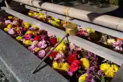 豊景神社の手水