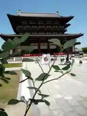 薬師寺の建物その他