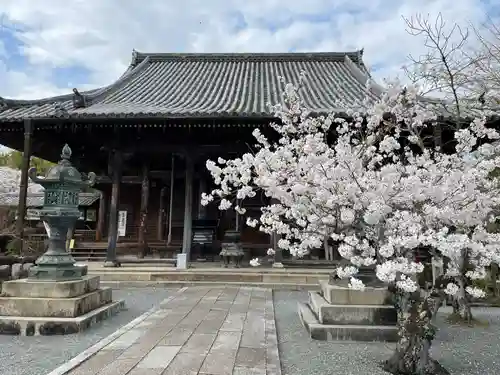 穴太寺(京都府)