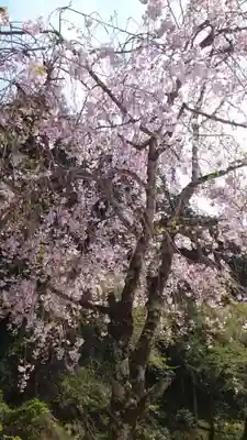 久遠寺(山梨県)