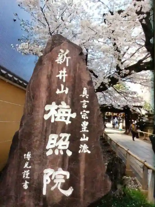 新井薬師(梅照院)(東京都)