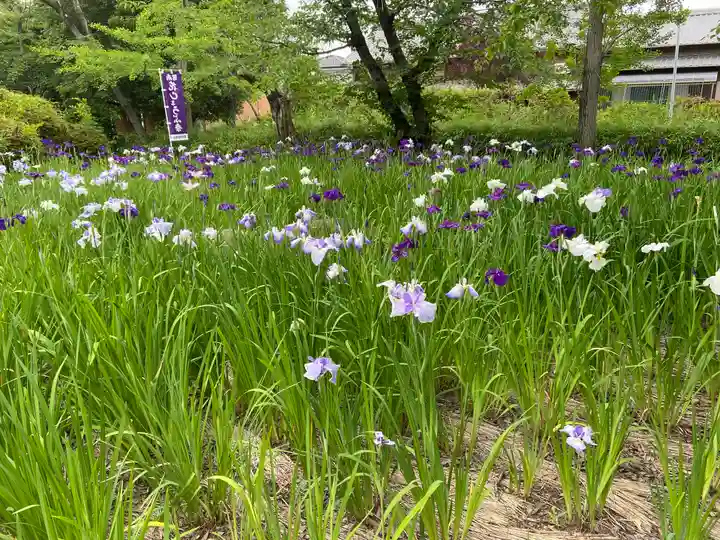 應仁寺(愛知県)