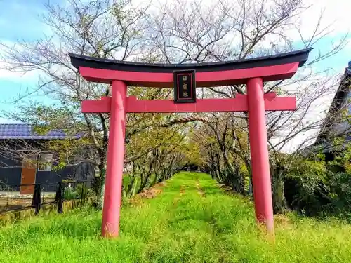 日吉神社の鳥居