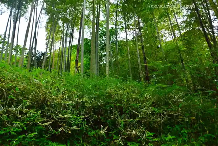 円覚寺(神奈川県)