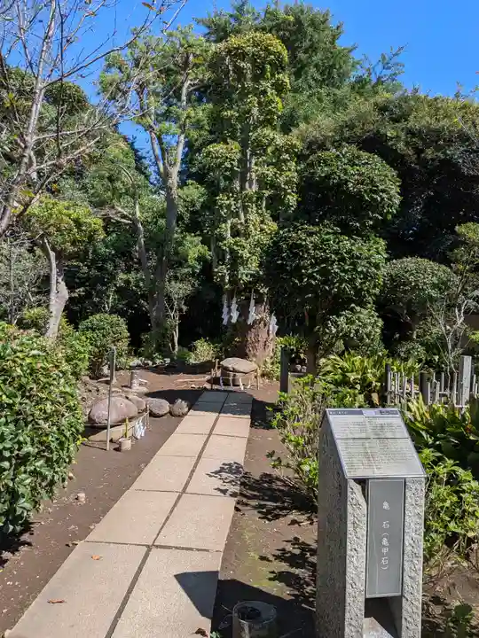 江島神社の自然