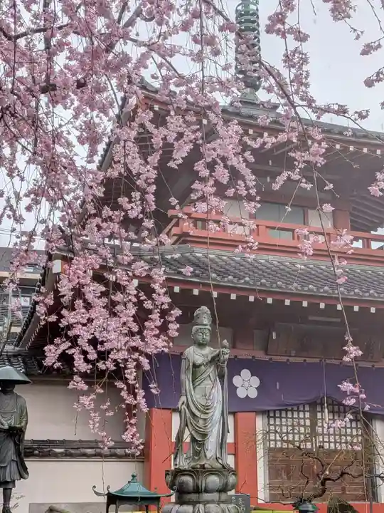 新井薬師(梅照院)(東京都)