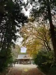 藤内神社(茨城県)