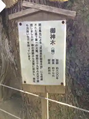 常陸國總社宮の歴史