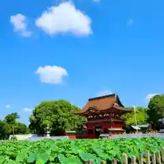 伊賀八幡宮(愛知県)