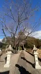 八幡神社(滋賀県)