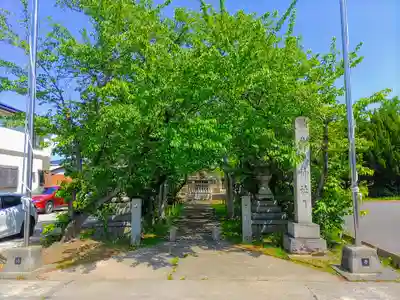 津嶋神社(萩原町西御堂)の自然