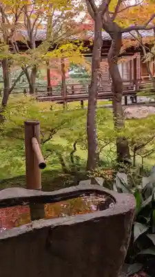 建仁寺（建仁禅寺）(京都府)