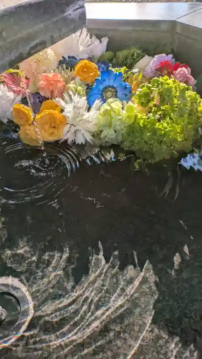 新琴似神社の{uncategorized: "未分類", other: "その他", undefined: "問題あり", building: "その他建物", grave: "お墓", sacred_gate: "鳥居", guardian: "狛犬", statue: "像", buddha: "仏像", history: "歴史", nature: "自然", garden: "庭園", animal: "動物", pagoda: "塔", temizu: "手水舎", mountain_gate: "山門・神門", sanctuary: "本殿・本堂", subordinate: "末社・摂社", art: "芸術", scenery: "景色", jizo: "地蔵", ema: "絵馬", goshuin: "御朱印", omikuji: "おみくじ", items: "授与品その他", amulet: "お守り", goshuincho: "御朱印帳", eats: "食事", festival: "お祭り", votive_dance: "神楽", shichigosan: "七五三参", wedding: "結婚式", experience: "体験その他", initially: "初詣", around: "周辺", anti_infection: "感染症対策"}