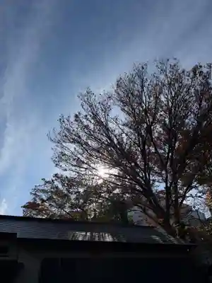 日吉神社(神奈川県)