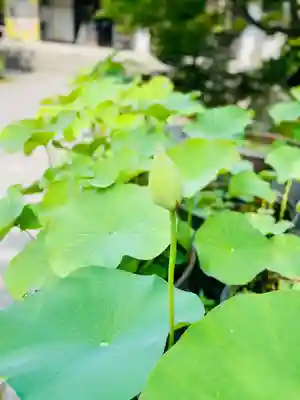伊勢の国 四天王寺(三重県)