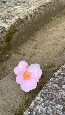 和氣神社(和気神社)(岡山県)