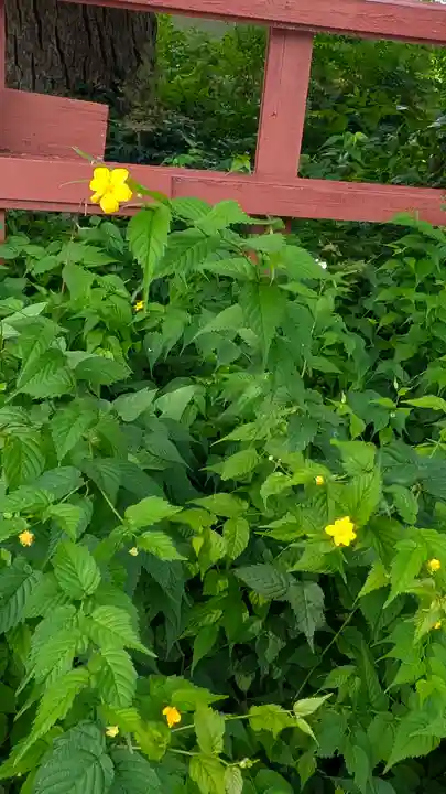 香具波志神社(大阪府)