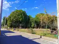 比良賀神社の自然