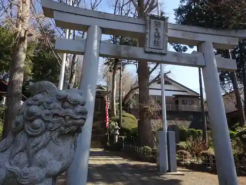 弥生神社の鳥居