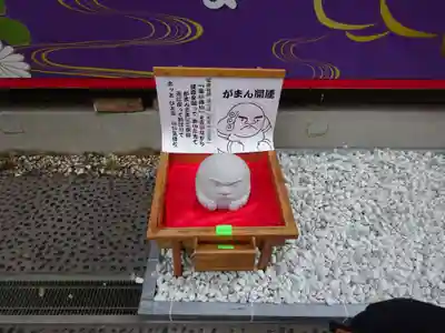 菊名神社の体験その他