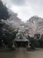中氷川神社の本殿・本堂