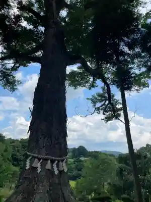 阿久津「田村神社」（郡山市阿久津町）旧社名：伊豆箱根三嶋三社(福島県)