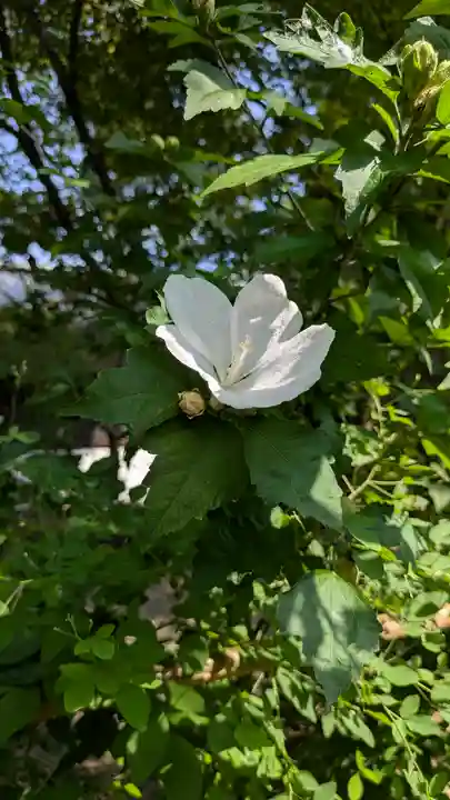 梨木神社(京都府)