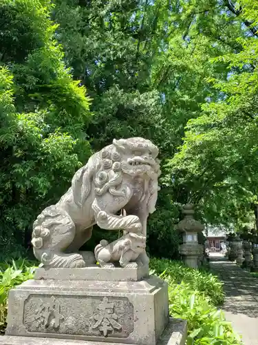 神炊館神社 ⁂奥州須賀川総鎮守⁂の狛犬