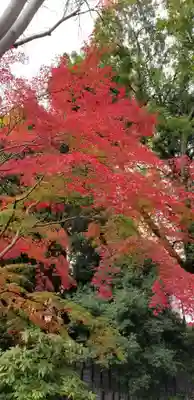 増上寺塔頭 三縁山 宝珠院の周辺