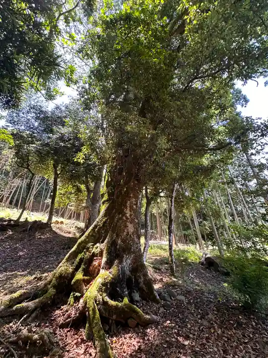 小浴神社(福井県)