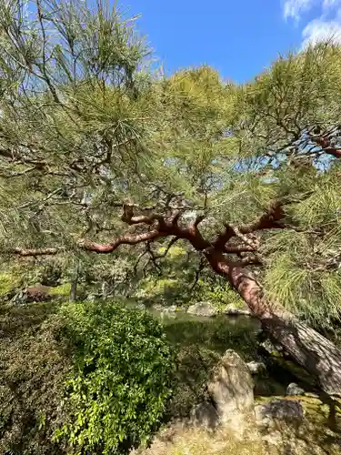 城南宮(京都府)